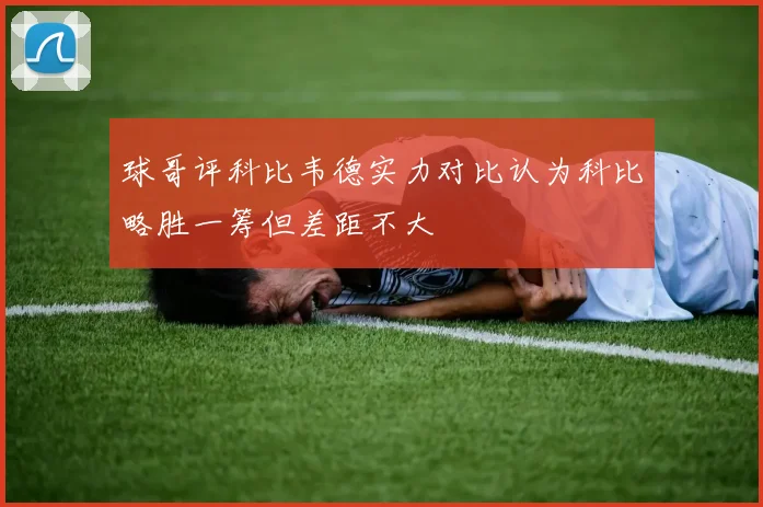 球哥评科比韦德实力对比认为科比略胜一筹但差距不大